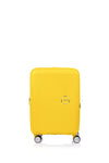 CURIO 2 55CM SPINNER EXP (Golden Yellow)